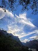 河北省,石家庄市,井陉县,测鱼镇,王家掌村