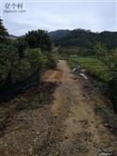 广东省,广州市,增城区,小楼镇,黄村