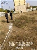 河北省,邯郸市,永年区,临洺关镇,苗庄村