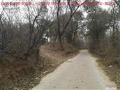 辽宁省,朝阳市,龙城区,半拉山街道,半拉山村