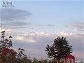 山东省,菏泽市,东明县,长兴集乡,高庄村