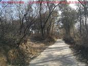 辽宁省,朝阳市,龙城区,半拉山街道,半拉山村