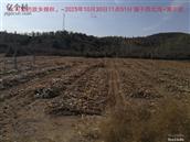 辽宁省,朝阳市,龙城区,半拉山街道,半拉山村