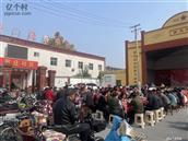 河北省,邯郸市,永年区,临洺关镇,苗庄村