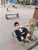 河南省,周口市,郸城县,宁平镇,牛庄村