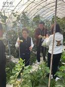 辽宁省,铁岭市,清河区,杨木林子镇,前杨木林子村