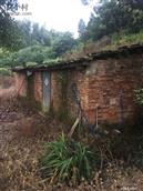 广东省,广州市,增城区,小楼镇,黄村