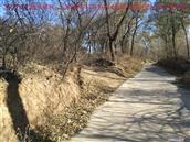 辽宁省,朝阳市,龙城区,半拉山街道,半拉山村