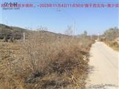 辽宁省,朝阳市,龙城区,半拉山街道,半拉山村