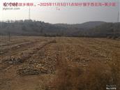 辽宁省,朝阳市,龙城区,半拉山街道,半拉山村