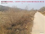 辽宁省,朝阳市,龙城区,半拉山街道,半拉山村