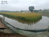 山西省,长治市,襄垣县,虒亭镇,虎口村