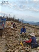 河北省,承德市,隆化县,山湾乡,庄头营村