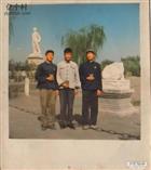 山东省,日照市,莒县,招贤镇,沙沟村