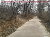 辽宁省,朝阳市,龙城区,半拉山街道,半拉山村