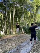 浙江省,丽水市,遂昌县,垵口乡,乐山头村