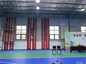 陕西省,渭南市,临渭区,丰原镇,北雷村