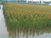 山西省,长治市,襄垣县,虒亭镇,虎口村