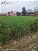 甘肃省,庆阳市,镇原县,上肖乡,净口村