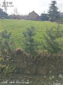 甘肃省,庆阳市,镇原县,上肖乡,净口村