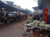 山东省,临沂市,平邑县,保太镇,徐家武阳村