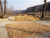 山西省,大同市,灵丘县,赵北乡,跃子沟村