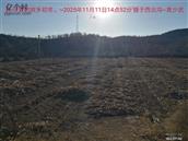 辽宁省,朝阳市,龙城区,半拉山街道,半拉山村