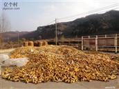 山西省,大同市,灵丘县,赵北乡,跃子沟村