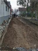 山东省,烟台市,莱州市,平里店镇,柳行村