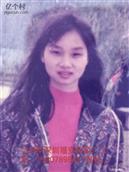 广东省,云浮市,新兴县,稔村镇,高村