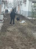 山东省,烟台市,莱州市,平里店镇,柳行村