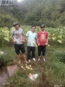 云南省,玉溪市,江川区,雄关乡,上营村