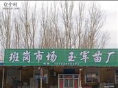 山东省,潍坊市,安丘市,景芝镇,班岗村