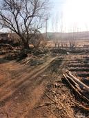 上二台村 上二台村面貌！！！！！！！