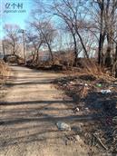 上二台村 垃圾多