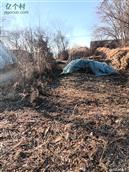 上二台村 上二村卫生埋汰