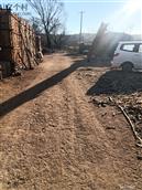 上二台村 上二台村面貌！！！！！！！