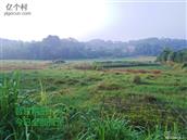 广西,梧州市,藤县,象棋镇,龙凤村