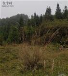 云南省,曲靖市,富源县,富村镇,砂厂村