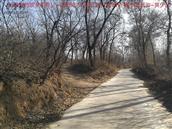 辽宁省,朝阳市,龙城区,半拉山街道,半拉山村