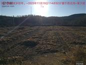 辽宁省,朝阳市,龙城区,半拉山街道,半拉山村