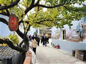 陕西省,安康市,旬阳市,城关镇,晏坪村