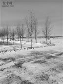 内蒙古,锡林郭勒盟,阿巴嘎旗,吉尔嘎郎图苏木乡,巴雅尔图嘎查村