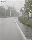 山东省,济宁市,鱼台县,唐马镇,王堂村