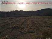 辽宁省,朝阳市,龙城区,半拉山街道,半拉山村