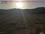 辽宁省,朝阳市,龙城区,半拉山街道,半拉山村