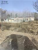 河南省,周口市,郸城县,宁平镇,牛庄村