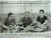 湖南省,湘西州,永顺县,松柏镇,兴棚村