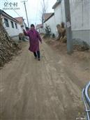 山东省,烟台市,莱州市,平里店镇,淳于村