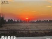 河北省,衡水市,景县,杜桥镇,五步村